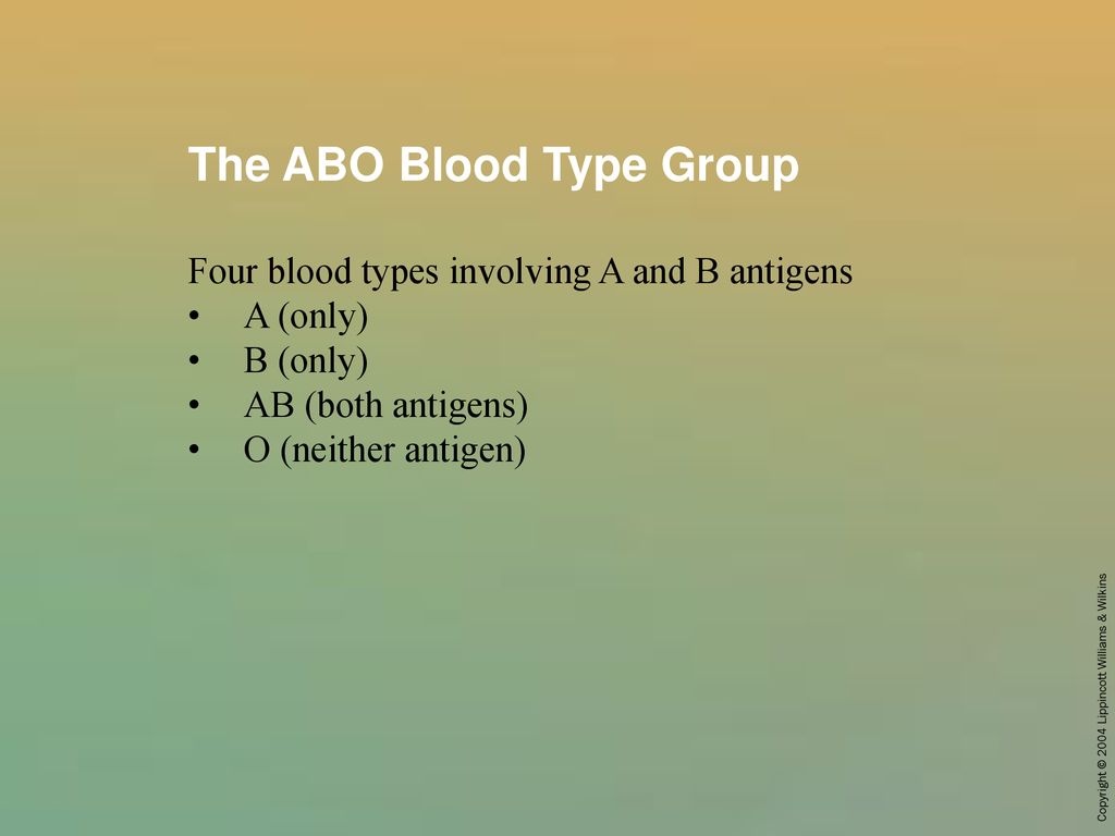 The ABO Blood Type Group