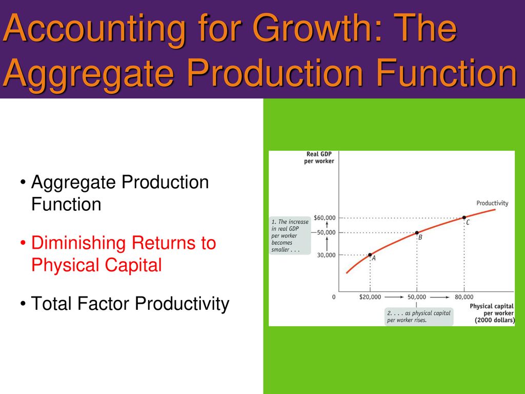Accounting for Growth: The Aggregate Production Function