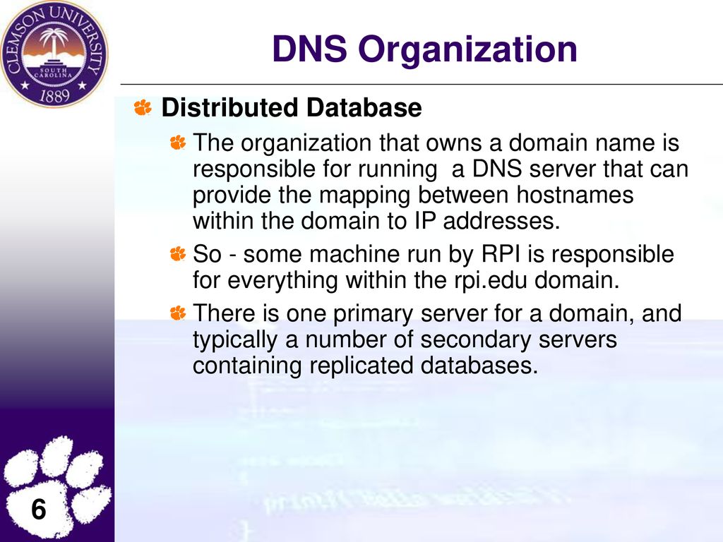 DNS Organization Distributed Database