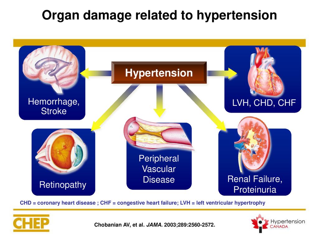 Organ damage related to hypertension