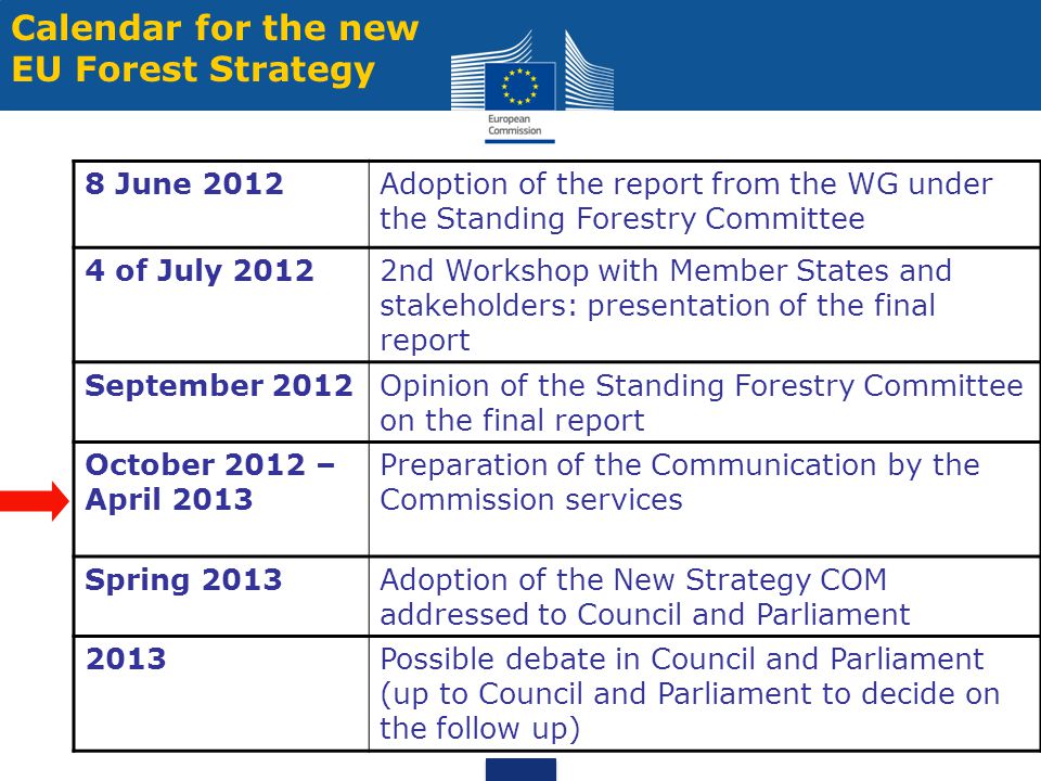 Calendar for the new EU Forest Strategy 8 June 2012