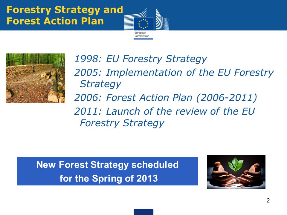 Forestry Strategy and Forest Action Plan