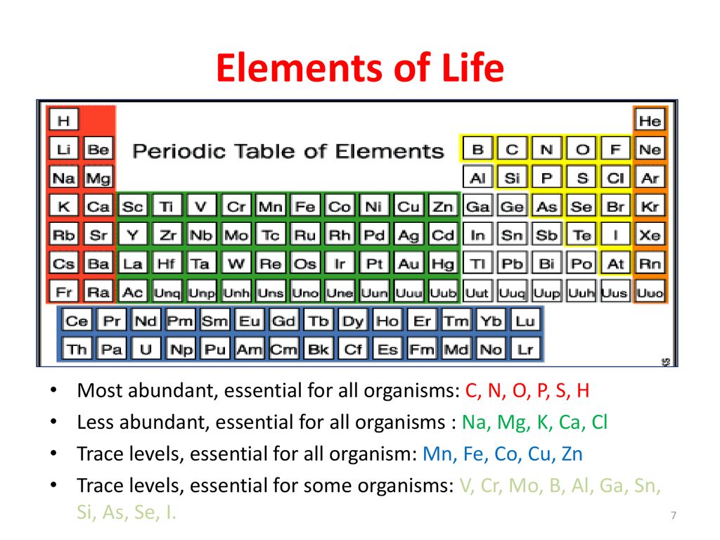 Introduction To Biochemistry Ppt Download