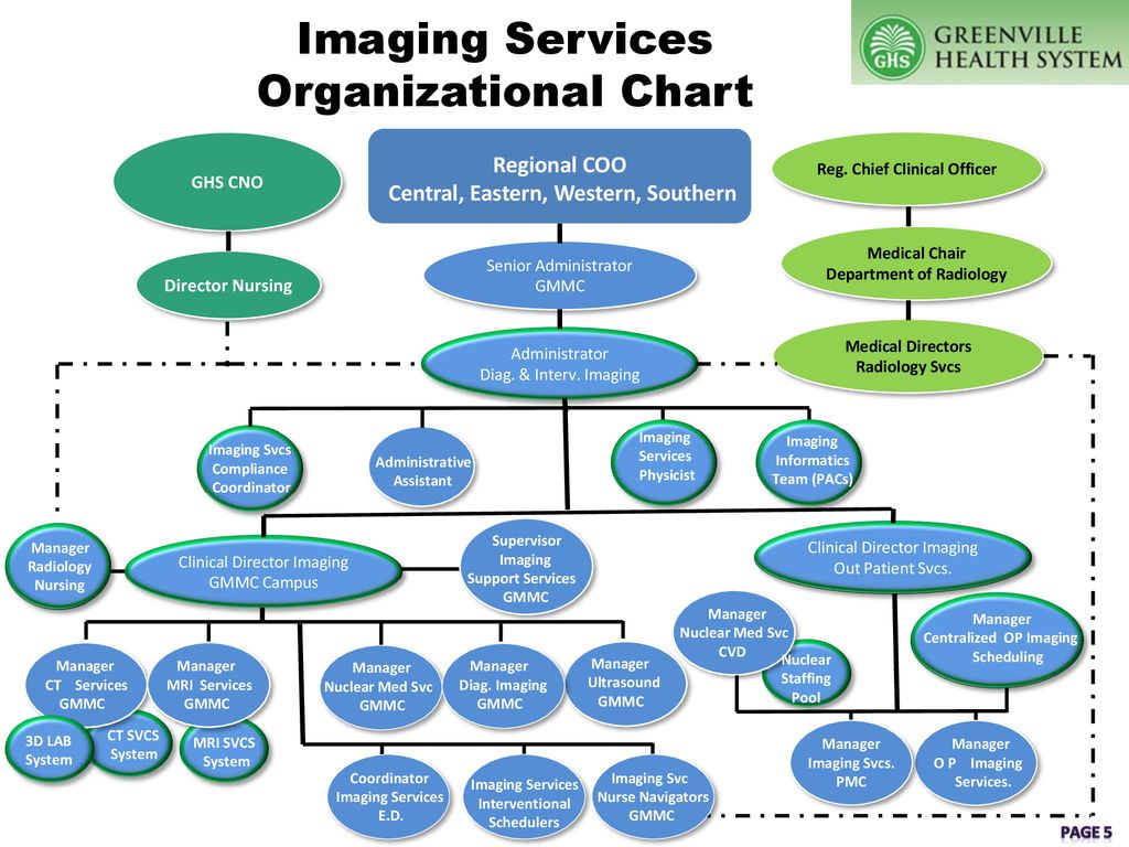 Cno Org Chart