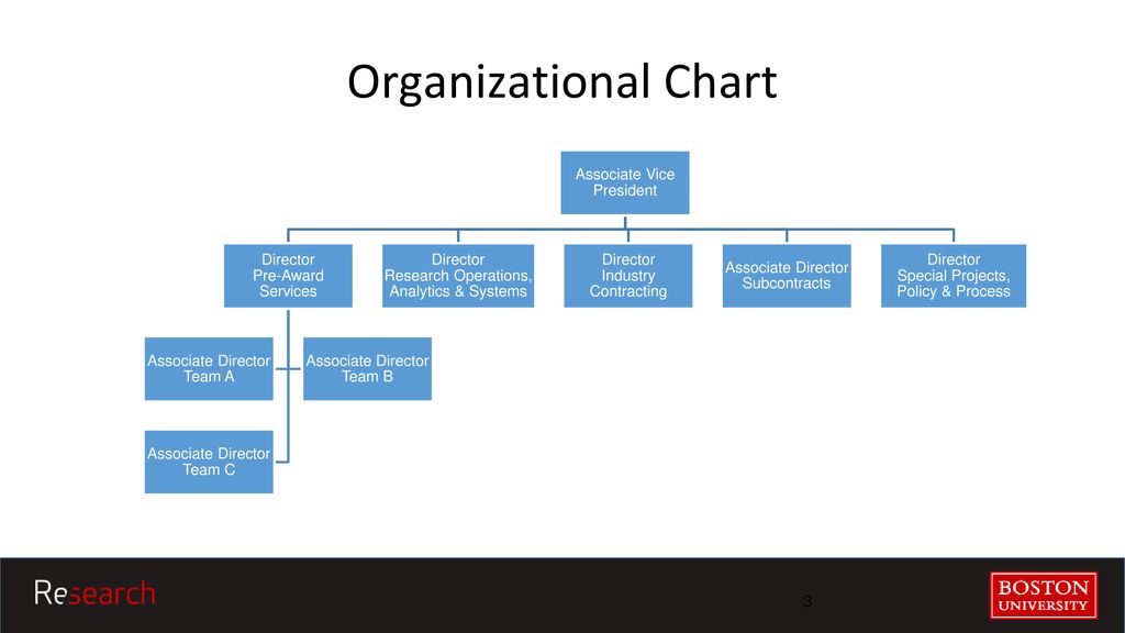 Boston University Organizational Chart