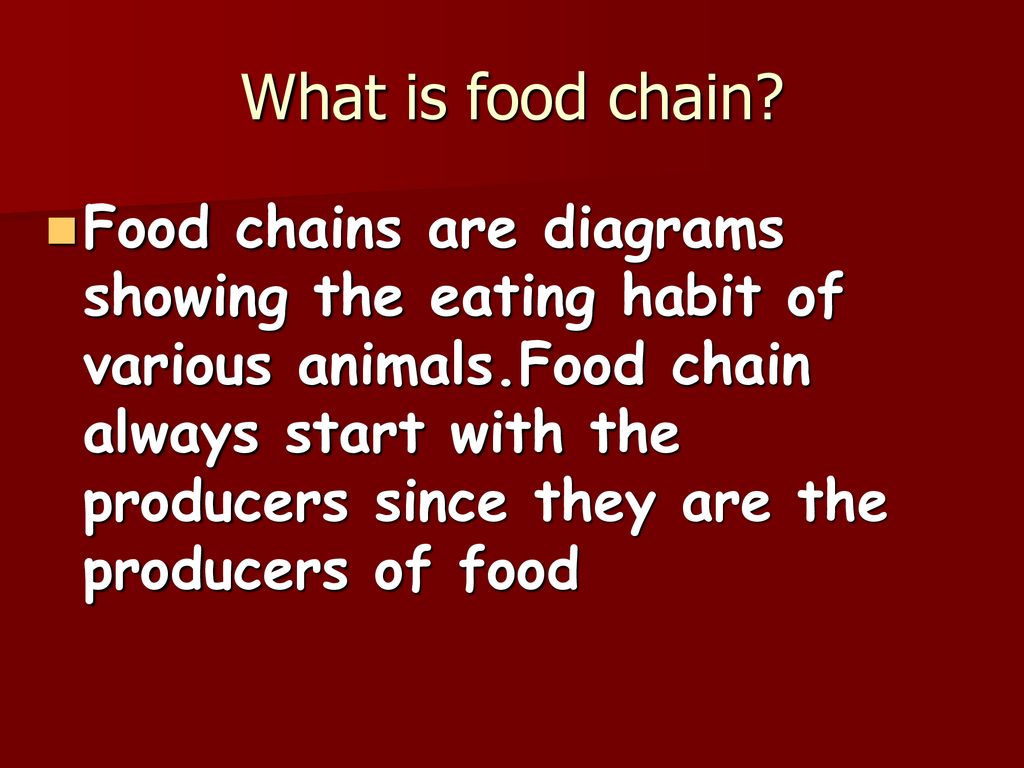 Whoโs Who in a Food Chain? Biology Diagrams