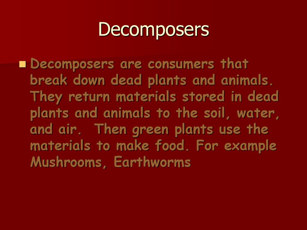 Who s Who In A Food Chain Ppt Download food-chain-2-quiz