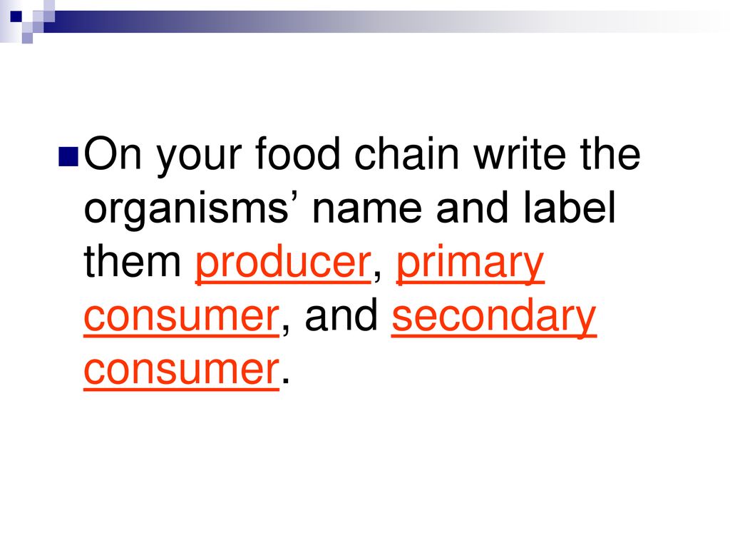 Ecology Chapter 2 Section 3 Biology Diagrams