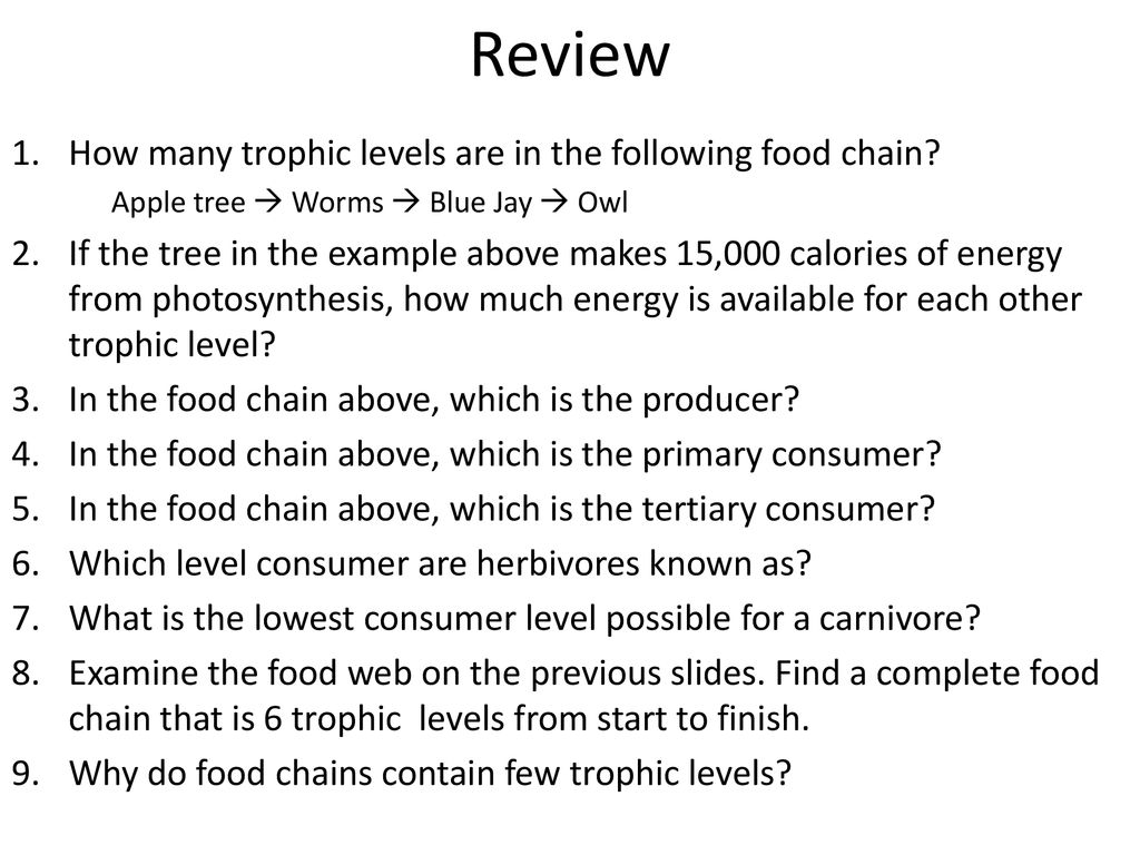 Energy In Ecosystems Ppt Download energy-in-ecosystems-ppt-download
