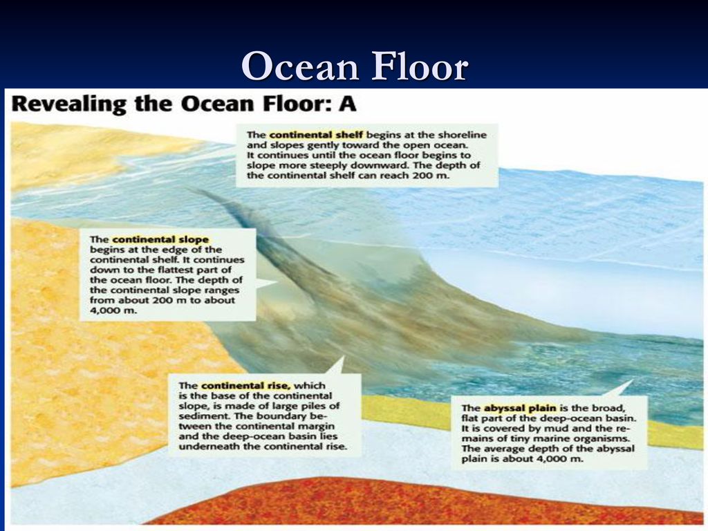 4 Types Of Ocean Floors Types Of Ocean Continental Shelf Learning Science