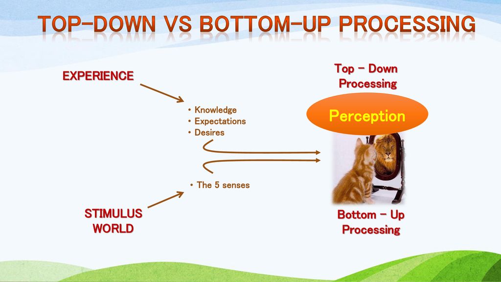 By dewi hardiningtyas st mt mba ppt download
