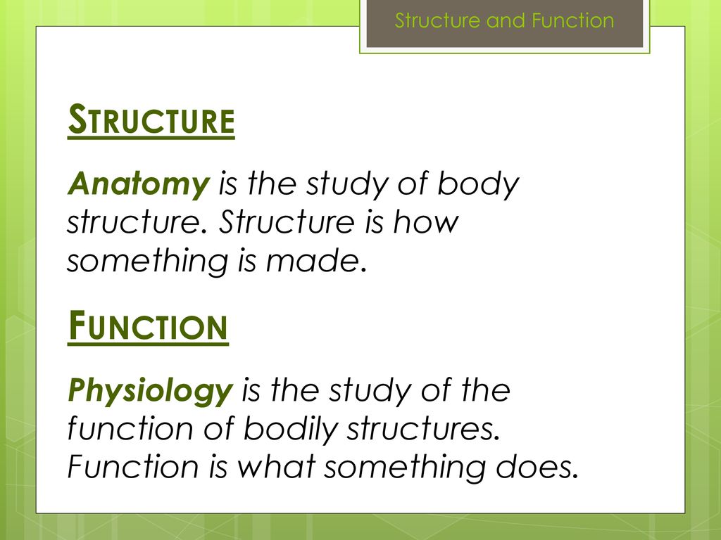 Yay, Itโs time for anatomy! Biology Diagrams