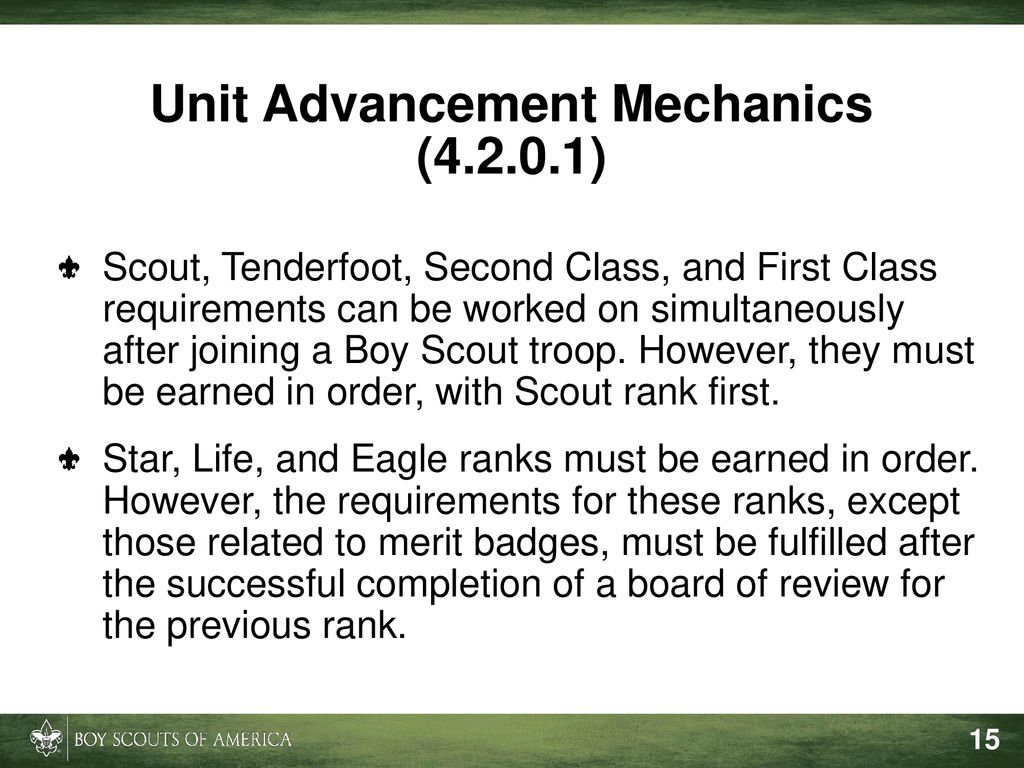 Tenderfoot Fitness Chart