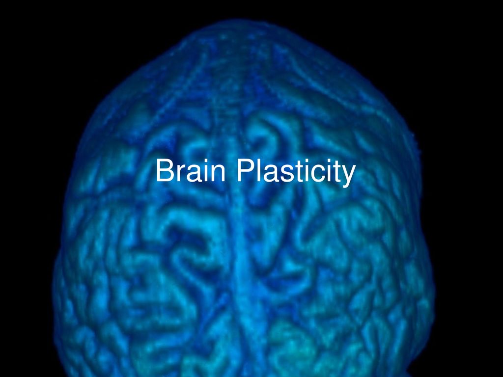 The structure of the brain. Латерализация это. Brain structure.