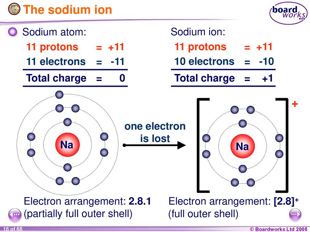 The sodium ion + Sodium atom: Sodium ion: 11 protons = +11.