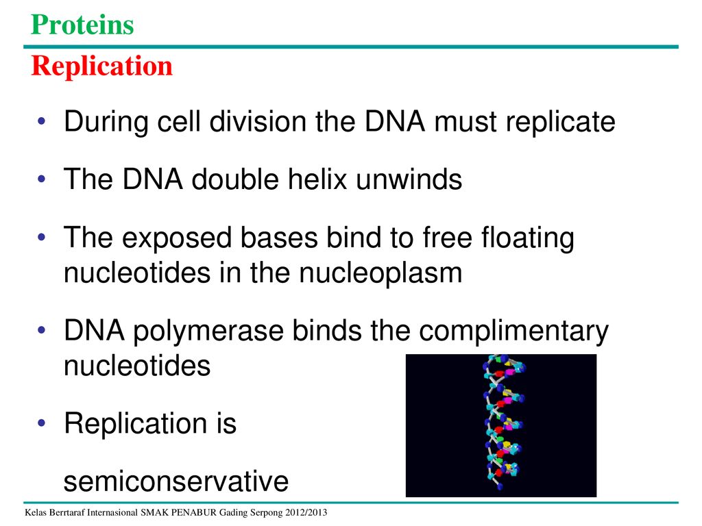 Chapter 1 Biological Molecules Leonardus Ssi Ppt Download