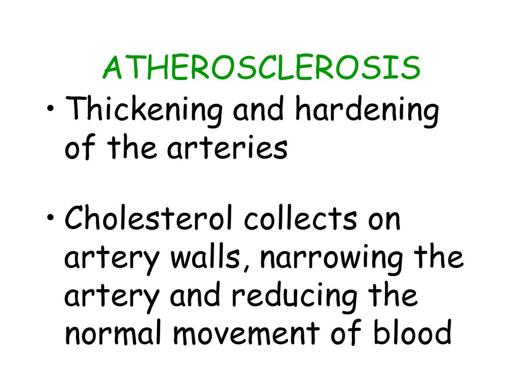 THE CIRCULATORY (CARDIOVASCULAR) SYSTEM - ppt download