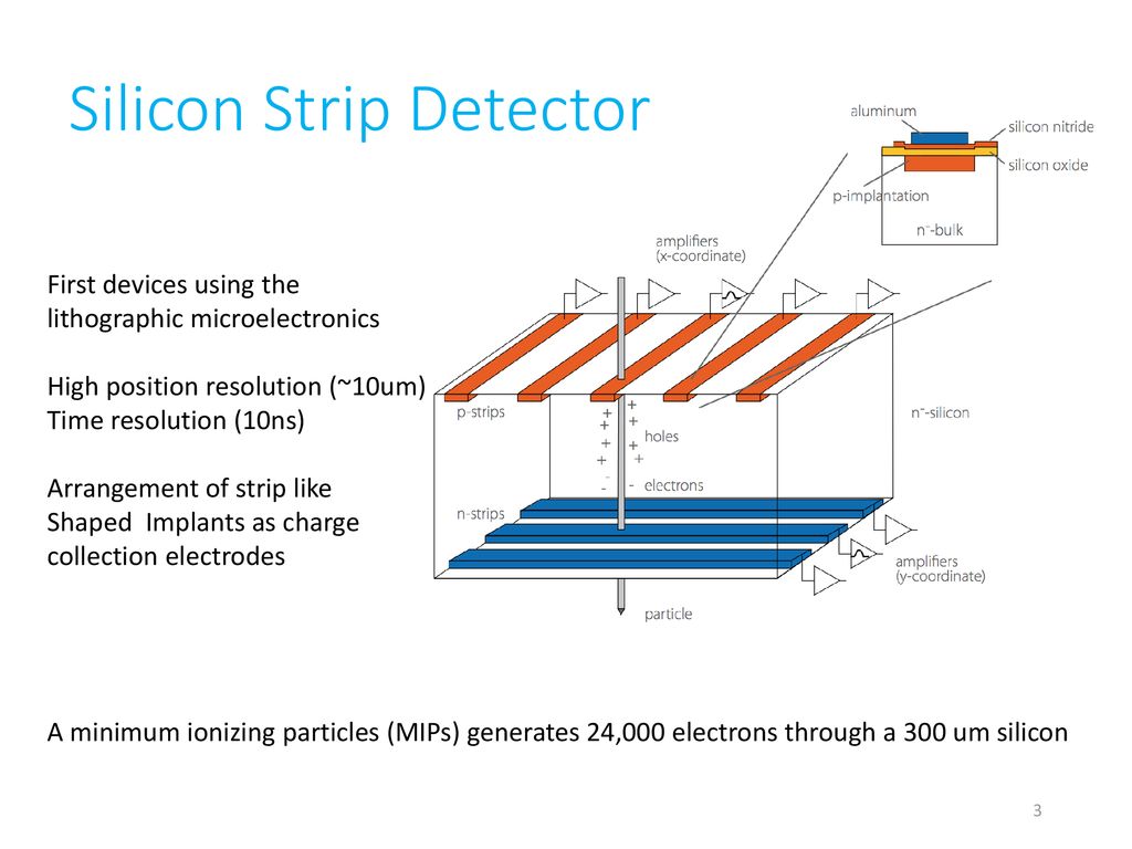 Silicon Strip Detector on ATLAS - ppt download