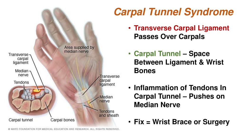 Chapter 7 Skeletal System - ppt download