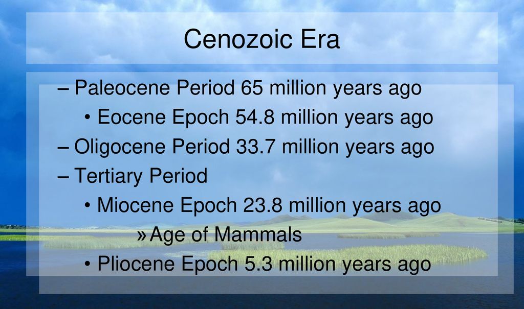 Warm up Put EON, PERIOD, AGE, EPOCH, ERA in order from largest to ...