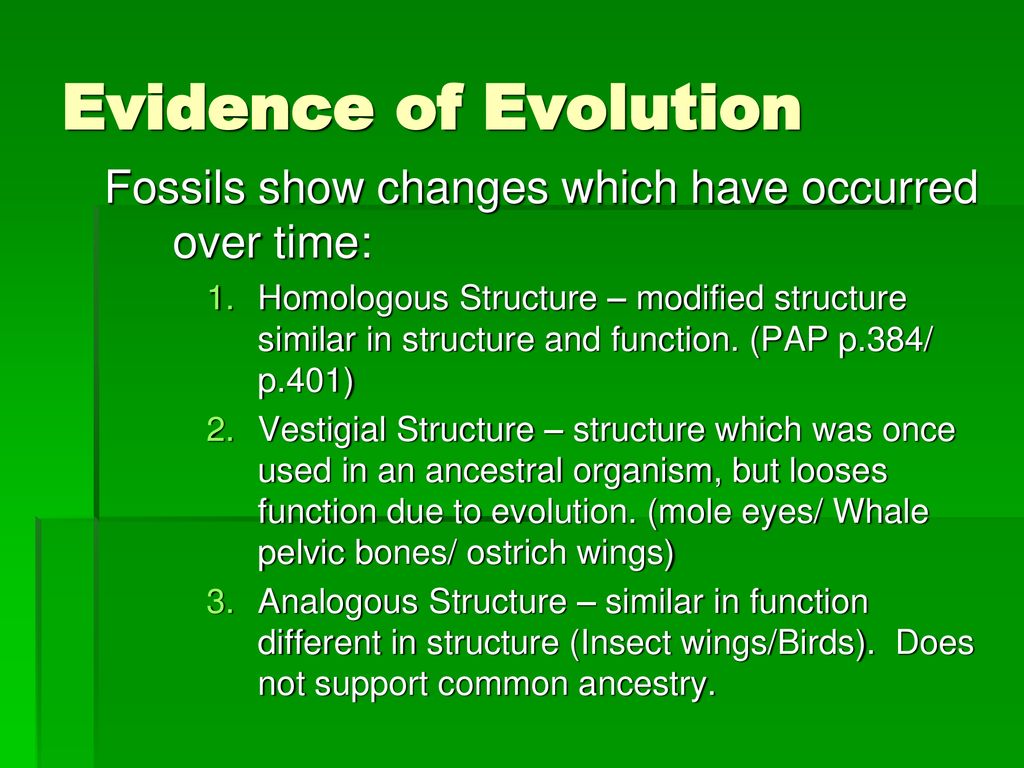 Natural Selection & Evolution - ppt download