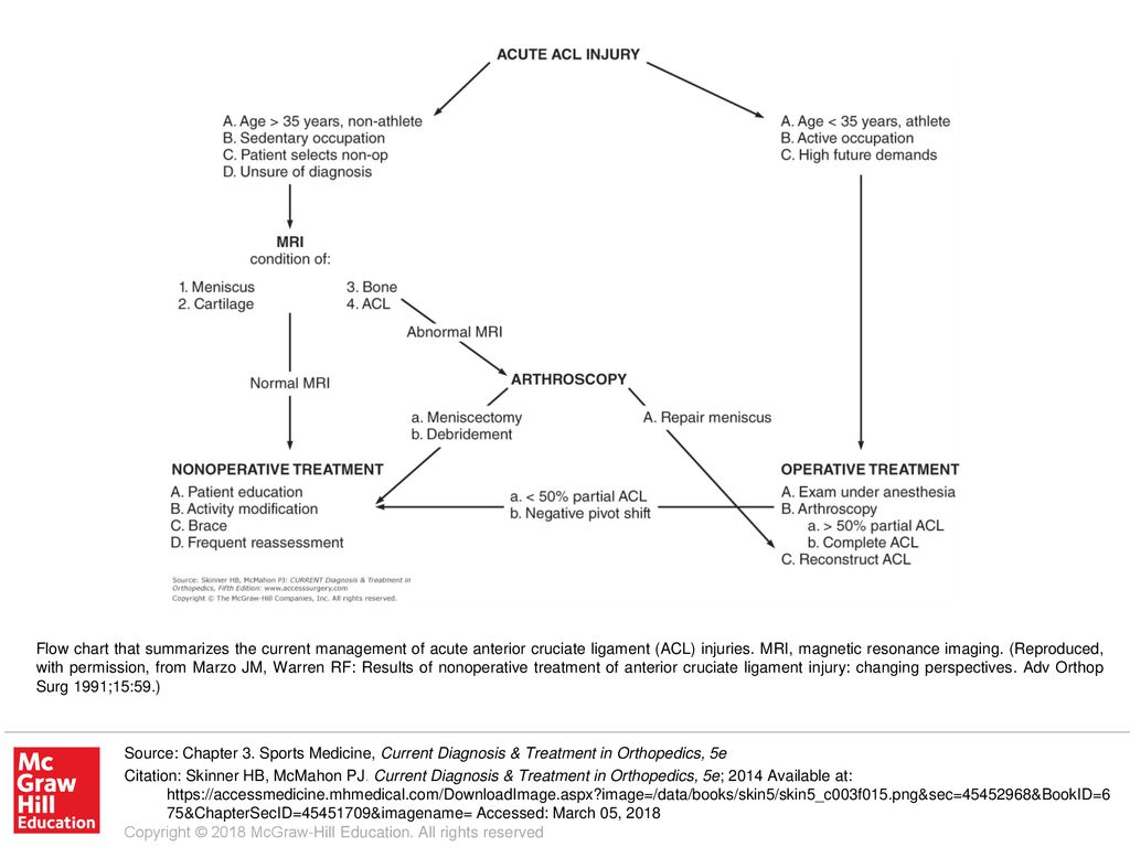 Injury Management Flow Chart