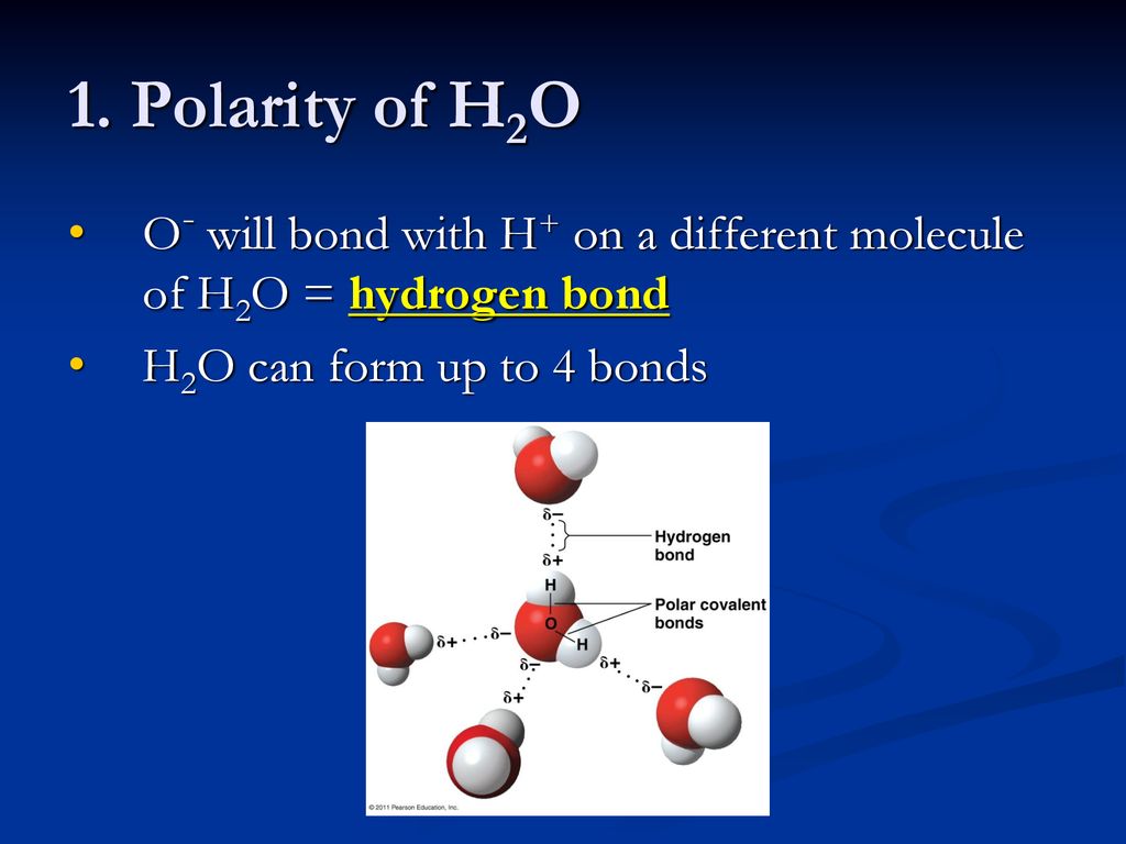 1. Polarity of H2O O- will bond with H+ on a different molecule of H2O = hydrogen bond.