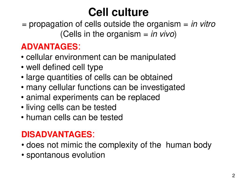Cell and tissue culture - ppt download Cell and tissue culture - ppt download