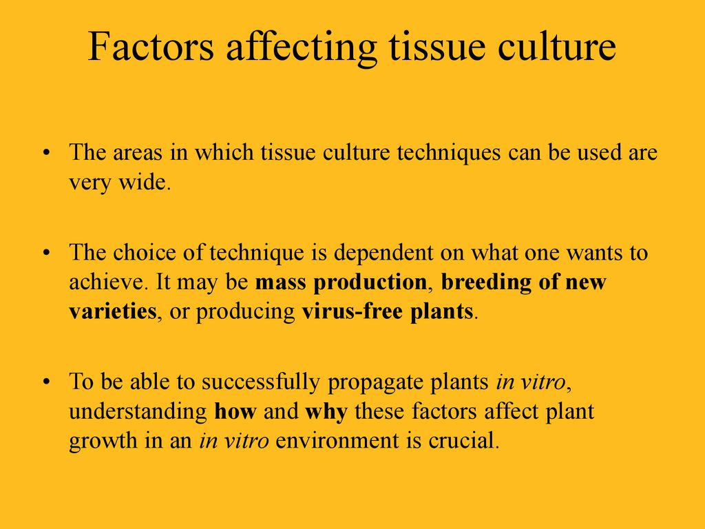 Factors affecting tissue culture