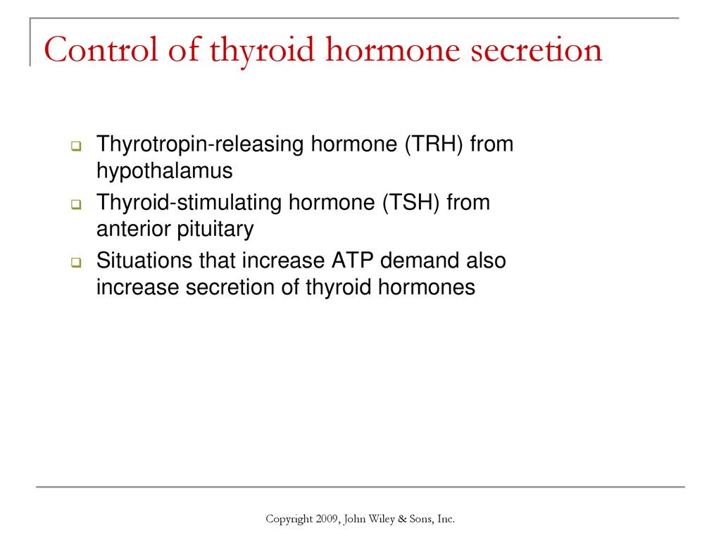 Thyroid Gland On each side of trachea is lobe of thyroid - ppt download