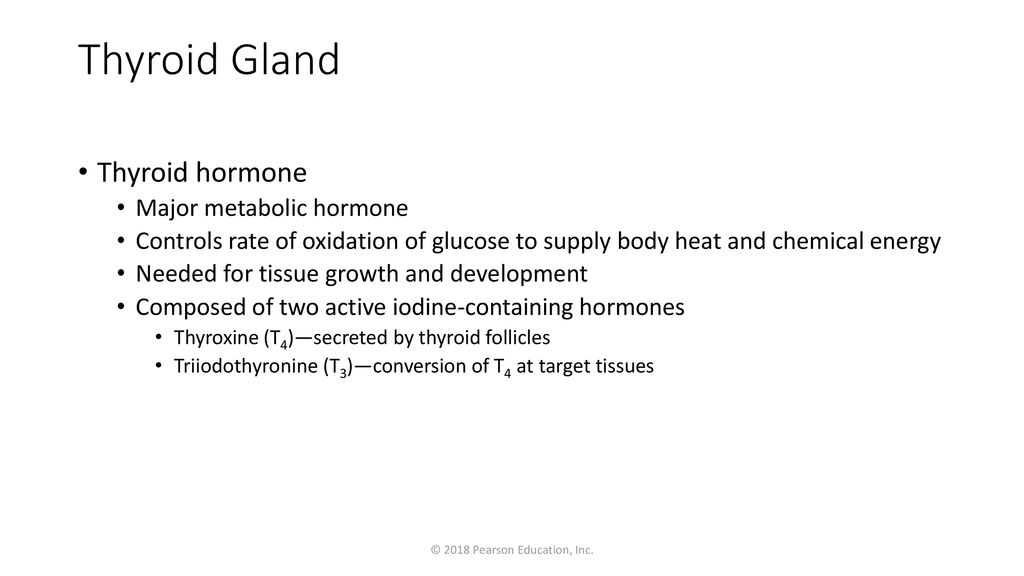 Endocrine System part 5A - ppt download