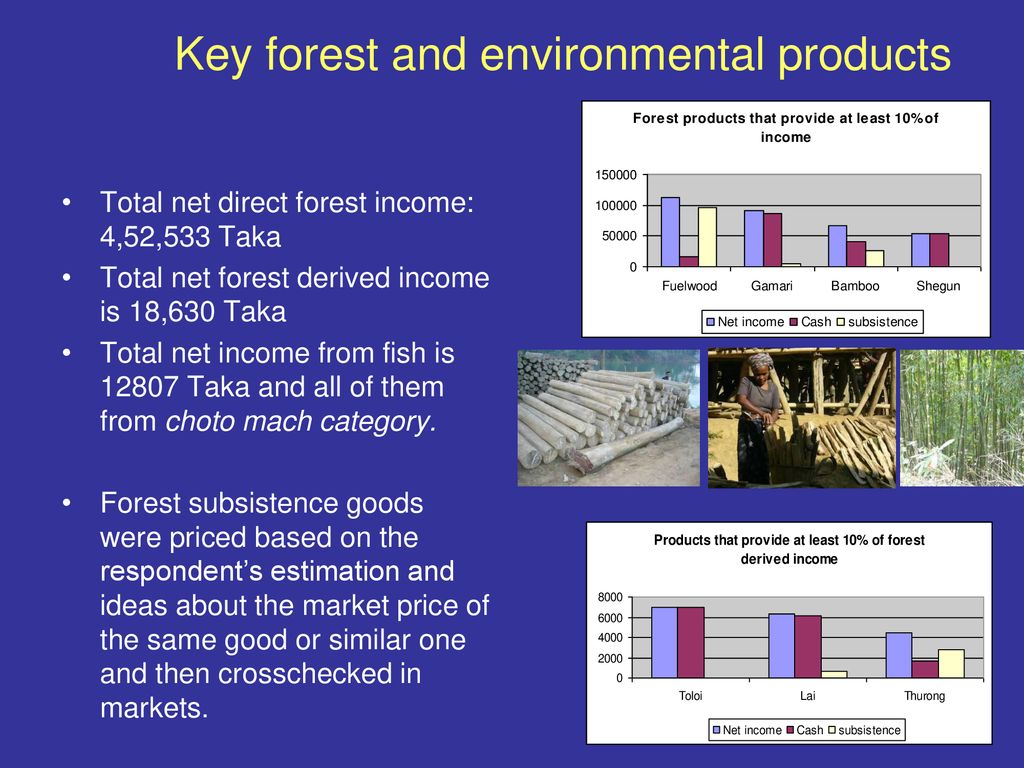 Key forest and environmental products