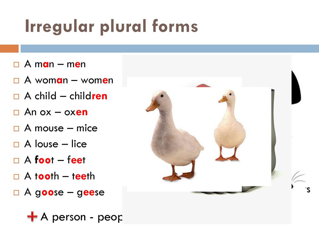 Goose множественное число. Irregular plural forms. Plurals исключения. Plural forms исключения. Irregular plural Nouns.