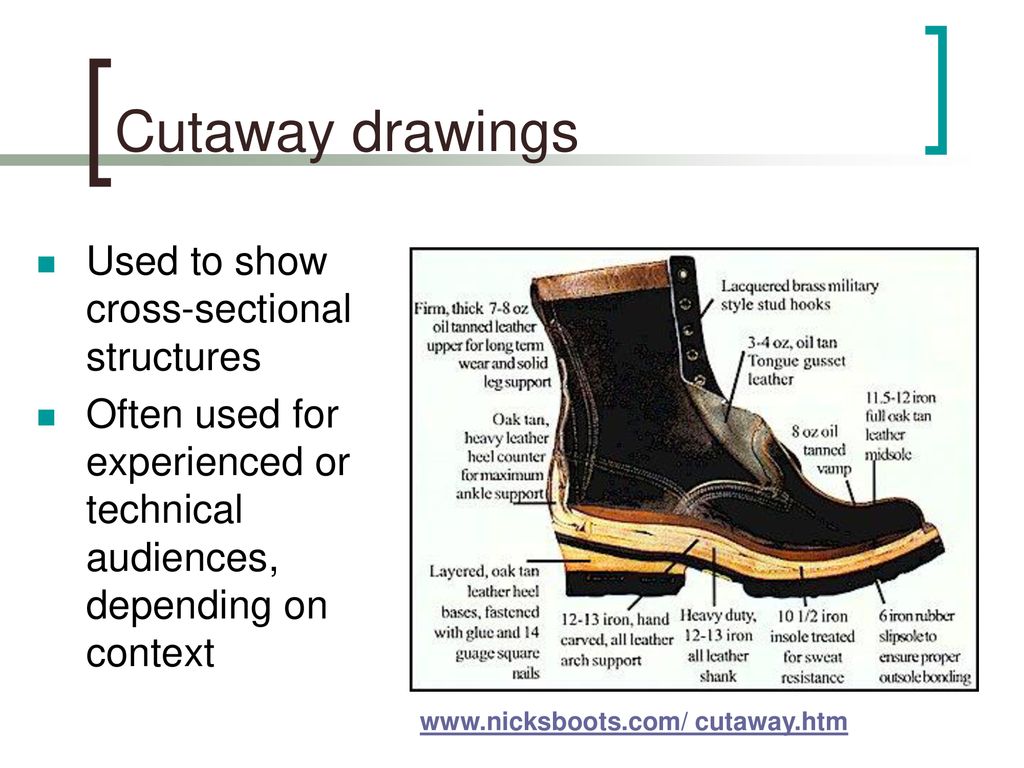 Cutaway drawings Used to show cross-sectional structures