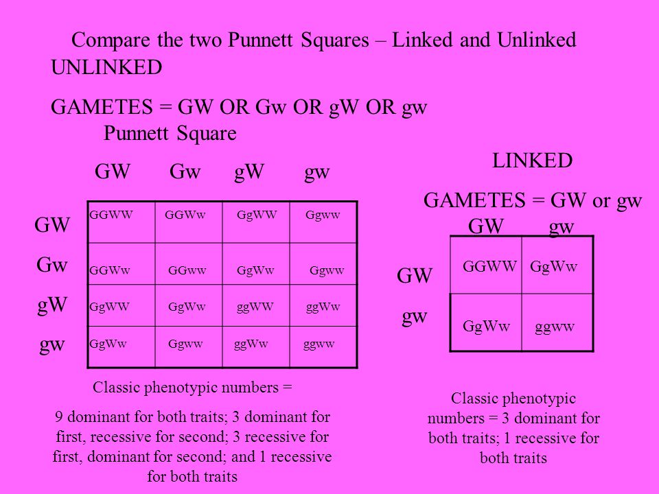 Nonmendelian Genetics Ppt Video Online Download