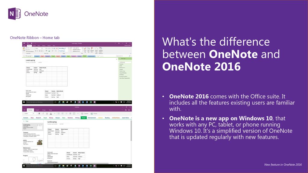 convert onenote 2016 to windows 10