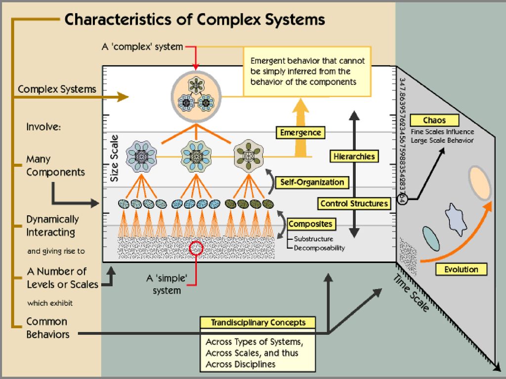Components and more. Complex Systems. Properties of the Complex System. Dynamical Systems Theory. What is a Complex System?.