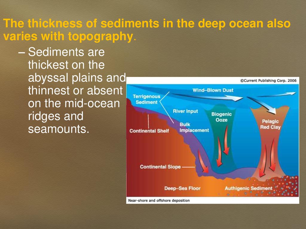 Marine Sediments Ppt Download