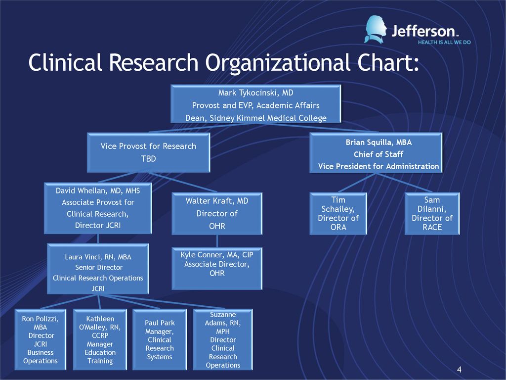 Clinical Research Org Chart