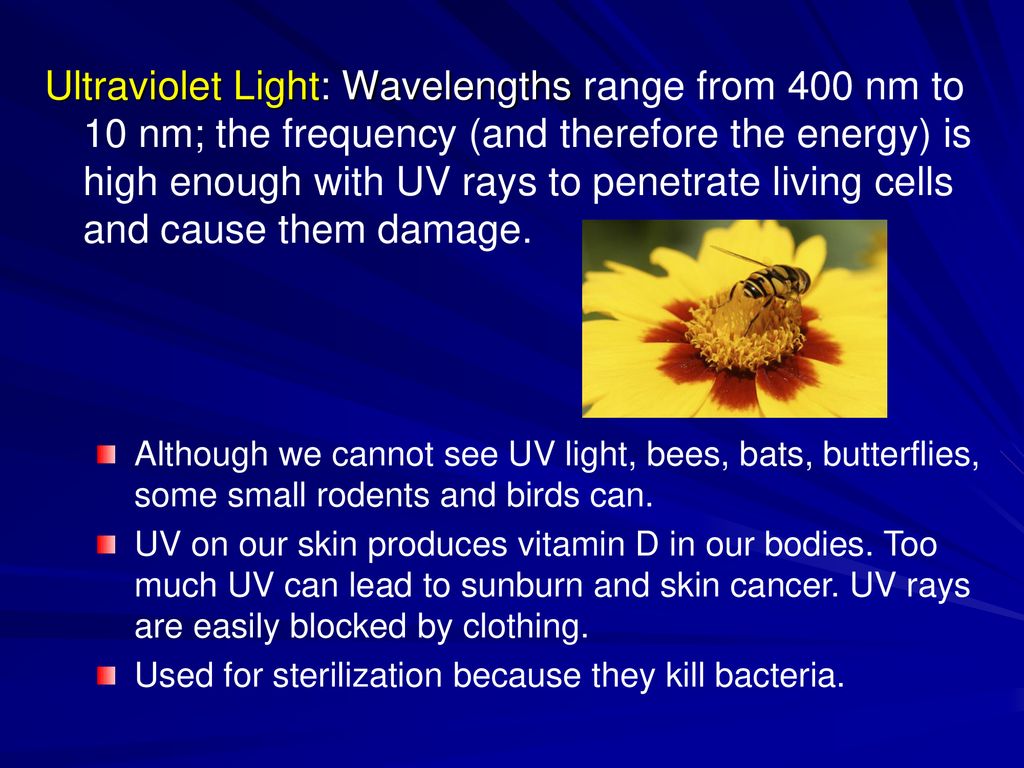 Ultraviolet Light: Wavelengths range from 400 nm to 10 nm; the frequency (and therefore the energy) is high enough with UV rays to penetrate living cells and cause them damage.
