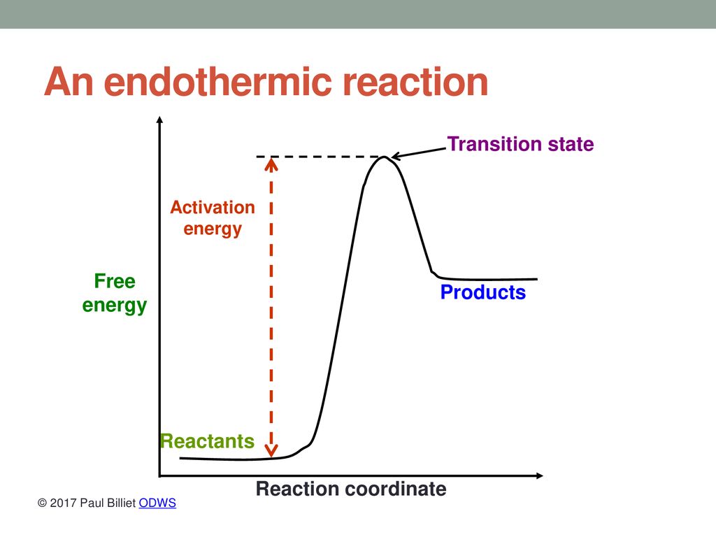 Proteins with catalytic properties - ppt download