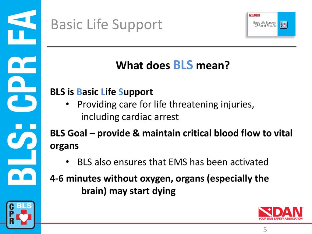 Basic Life Support: CPR & First Aid August 2017 v ppt download