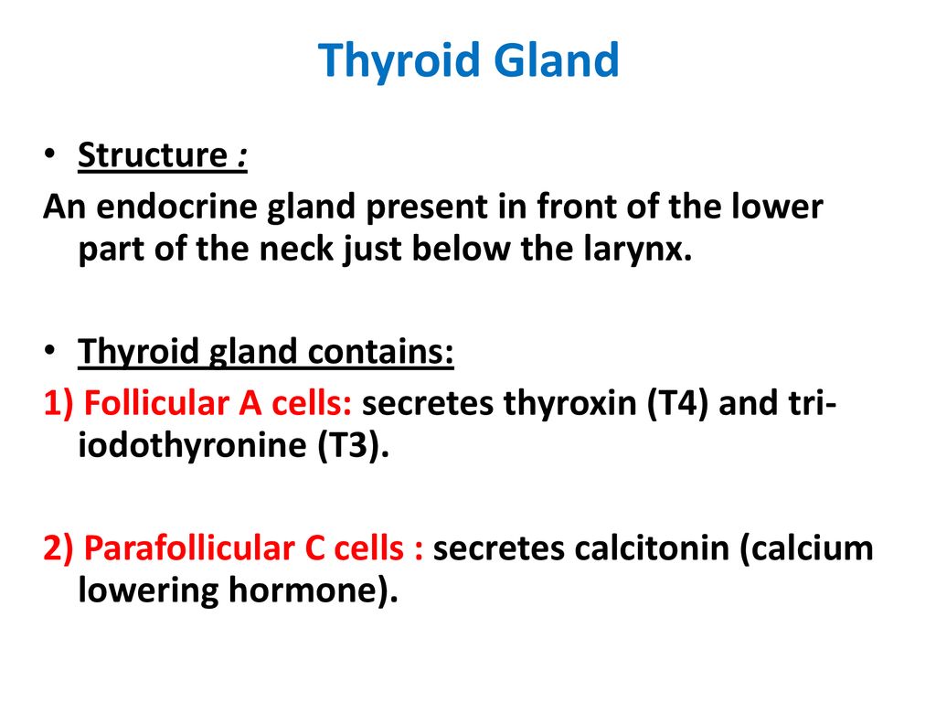 Pathophysiology of Endocrine glands - ppt download