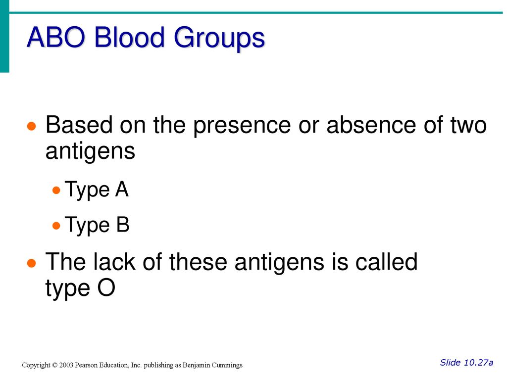 ABO Blood Groups Based on the presence or absence of two antigens
