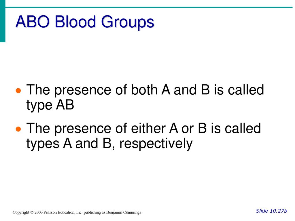 ABO Blood Groups The presence of both A and B is called type AB