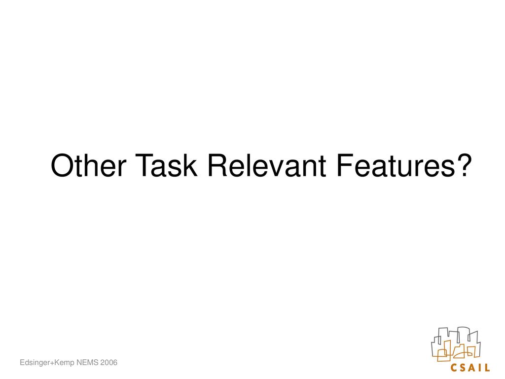 Other Task Relevant Features
