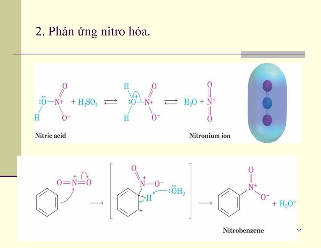 Phản ứng Nitro hóa Benzen: Tìm hiểu cơ chế và ứng dụng trong công nghiệp