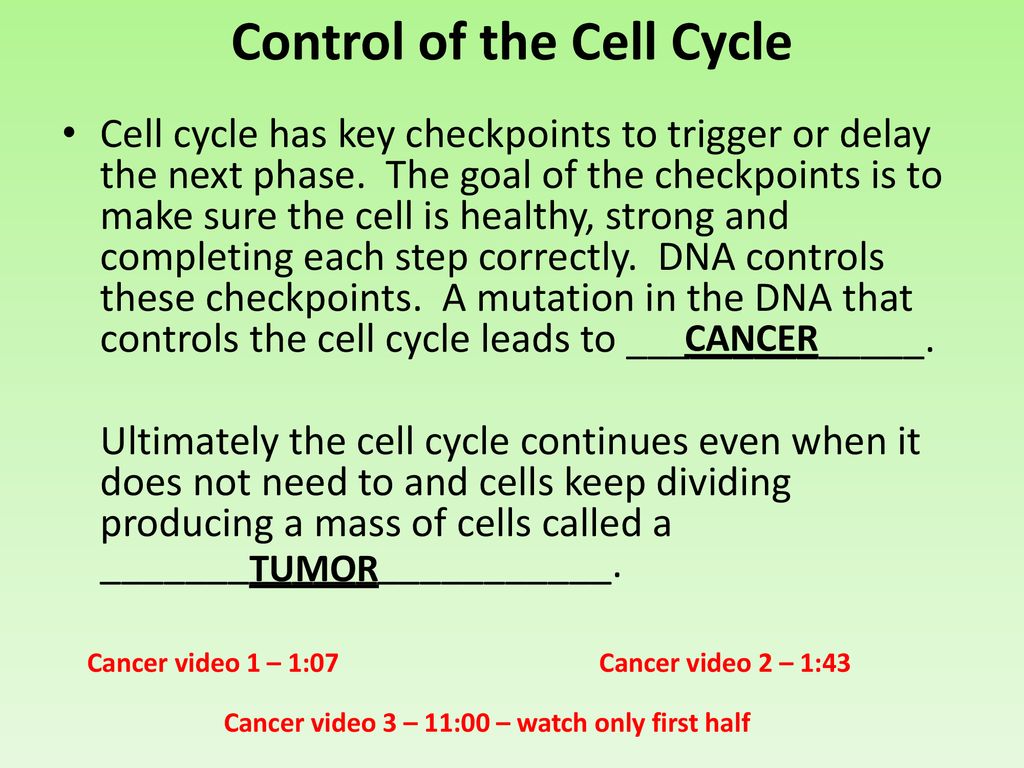 Cell Reproduction Biology Diagrams