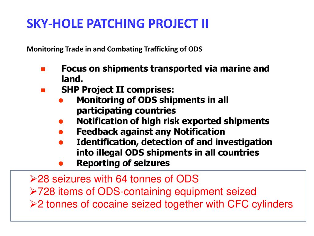 SKY-HOLE PATCHING PROJECT II Monitoring Trade in and Combating Trafficking of ODS