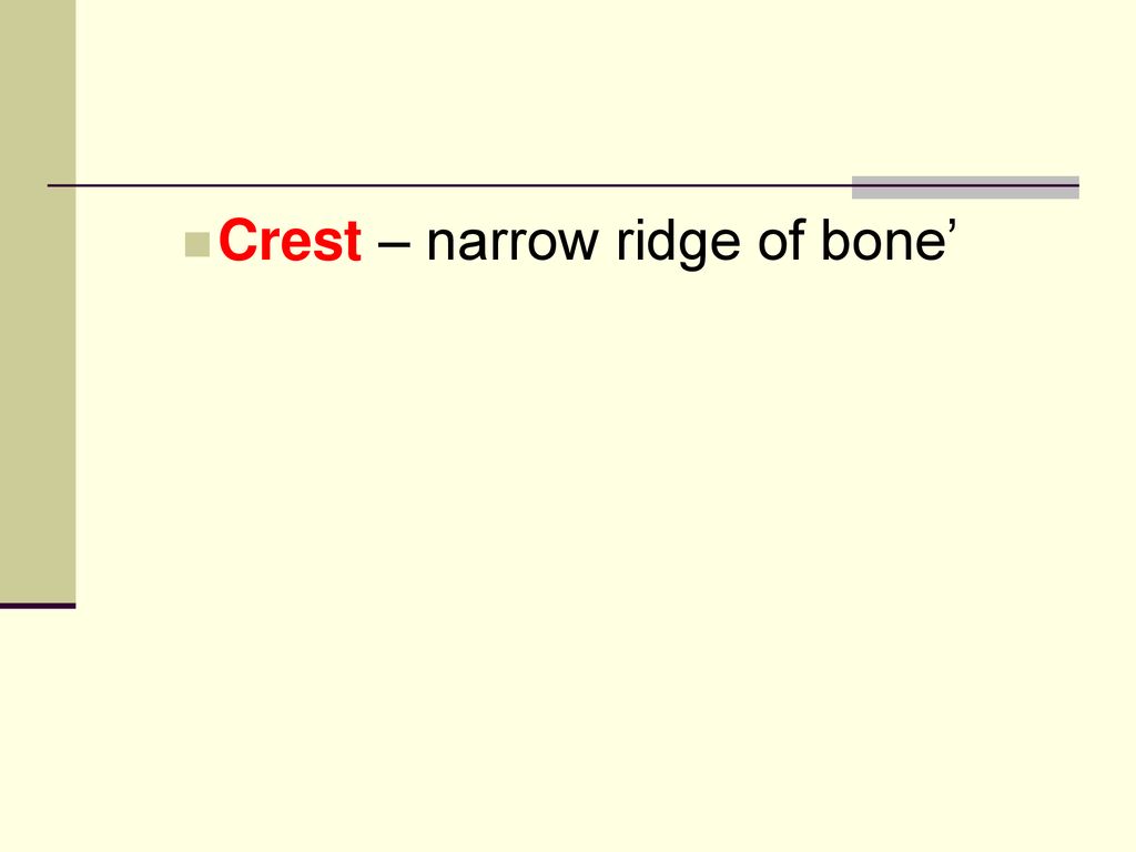 Bones notes ppt download